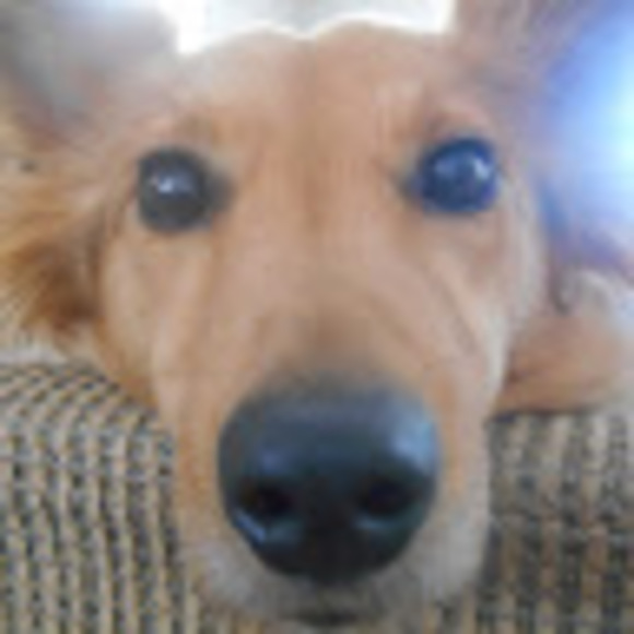 Meet your Posher, Sally o. - Picture 1 of 1